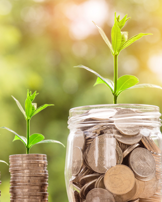 Financial Healing